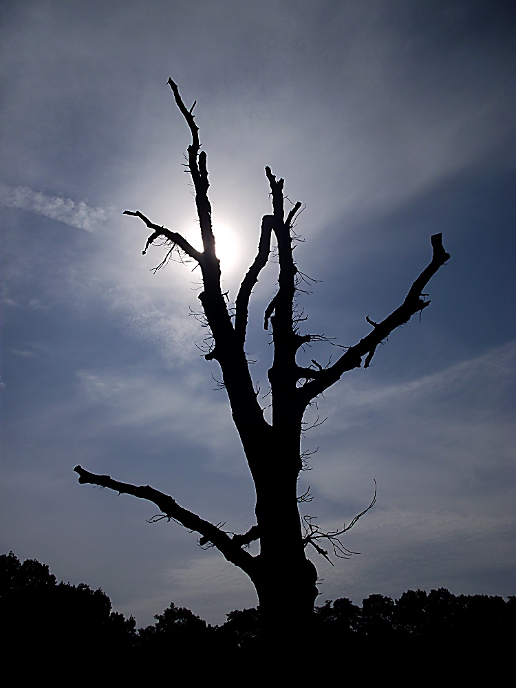 DSCF0081