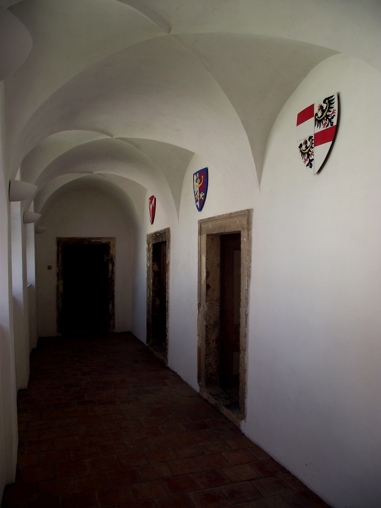 DSCF0538
