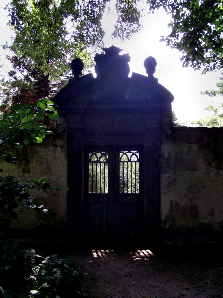 DSCF0176l