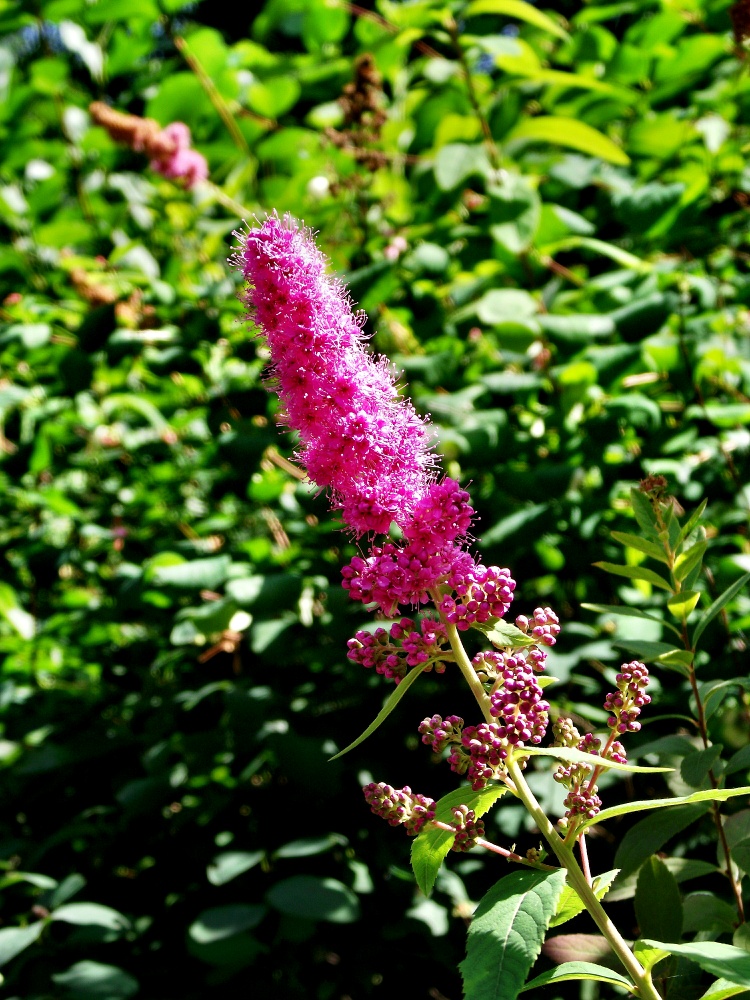 DSCF0189
